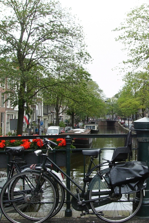 2.5-Hour Amsterdam Sightseeing Tour by Bike - Who this tour suits best, and who should skip it