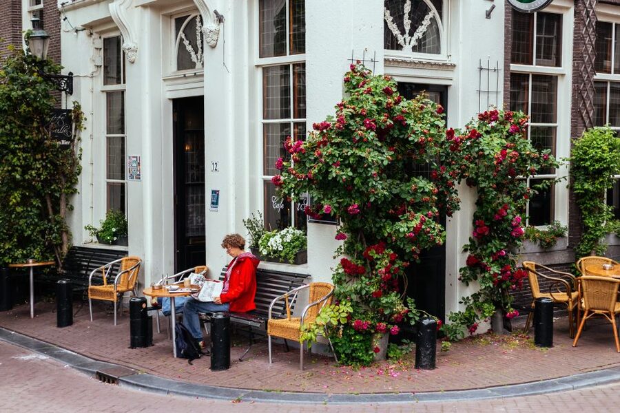 Amsterdam: 1.5-Hour Private Kick-Start Tour with a Local - Price and value: what you’re really paying for