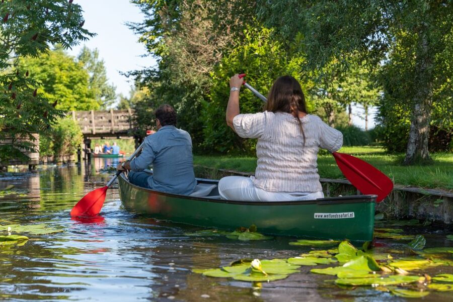 Amsterdam: 2-Hour Guided Canoe Trip - What the small group and the host style change for you