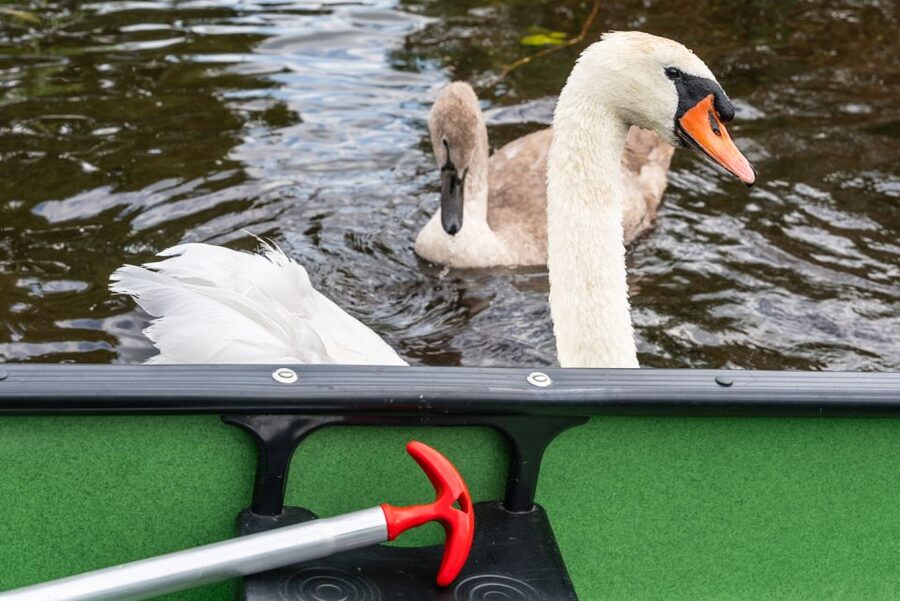 Amsterdam: 2-Hour Guided Canoe Trip - Comfort tips so you enjoy the water instead of managing stress