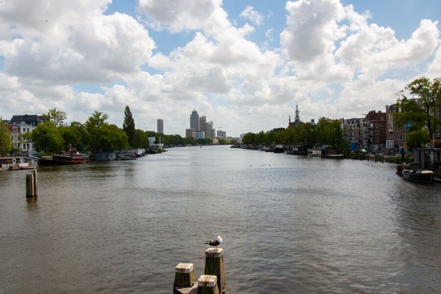 Amsterdam: 3 Course Dinner in the Dark - The Small Comfort Rules That Matter More Than You’d Think