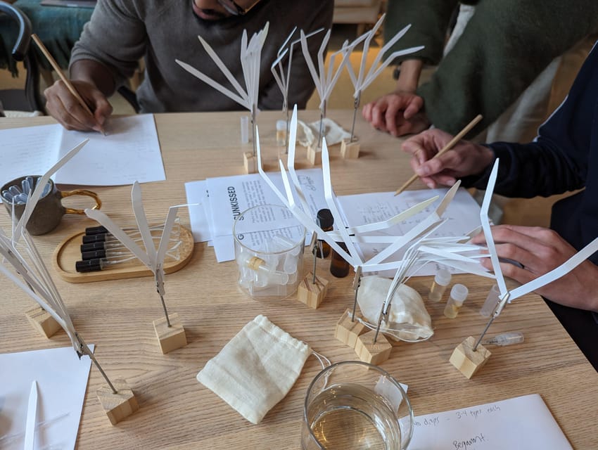 Amsterdam: 3-Hour Mindful Perfume-Making Workshop - Should you book this mindful perfume workshop?