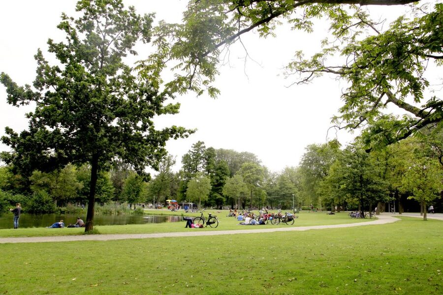 Amsterdam: 3h E-Bike Tour with break - What the ride includes, and what you still need to plan for
