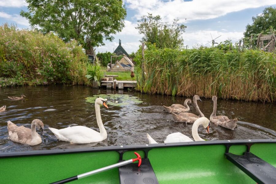 Amsterdam 5-Hour Guided Canoe Trip in the Wetlands - Who this tour suits (and who should skip it)