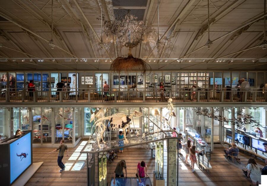 Amsterdam: ARTIS-Groote Museum Entry Ticket - Key things to know before you go