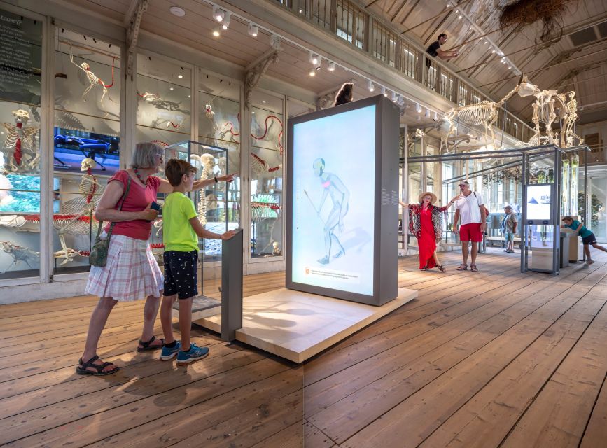 Amsterdam: ARTIS-Groote Museum Entry Ticket - Food, breaks, and keeping the day comfortable
