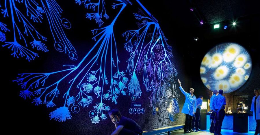 Amsterdam: ARTIS-Micropia Microbe Museum Entry Ticket - How Long It Takes, and the Best Pace for Enjoyment
