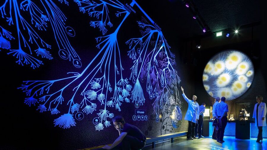 Amsterdam: ARTIS-Micropia Microbe Museum Entry Ticket - Price and Value: What $21 Gets You