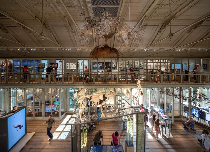 Amsterdam: ARTIS Royal Zoo and ARTIS Groote Museum Ticket - ARTIS-Groote Museum: nature that treats you like part of the ecosystem