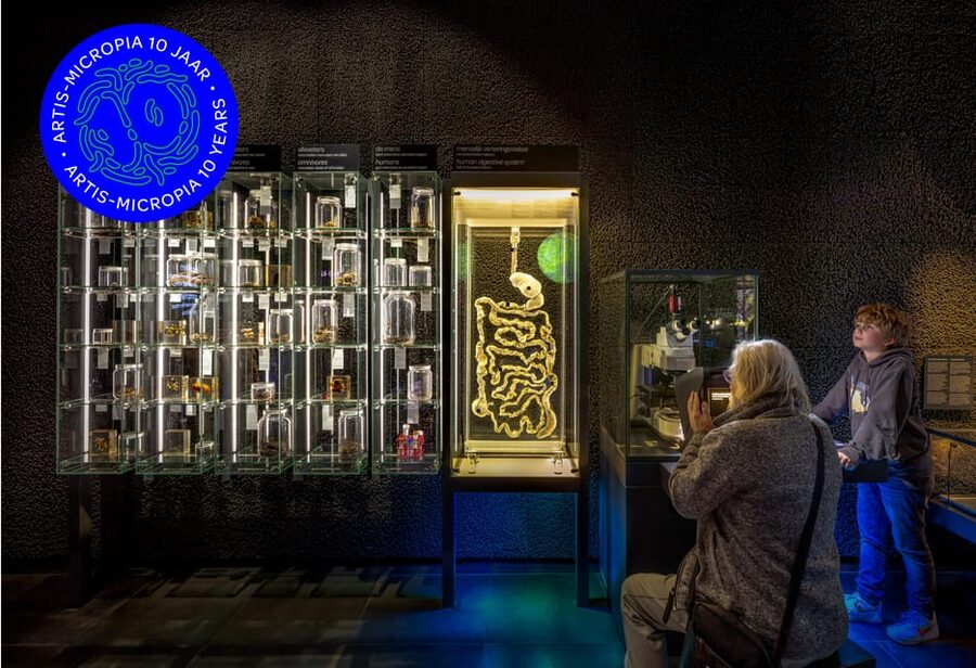 Amsterdam: Artis Royal Zoo & ARTIS-Micropia Combo Ticket - Lab Talks and Interactive Learning (How to Get More Out of It)