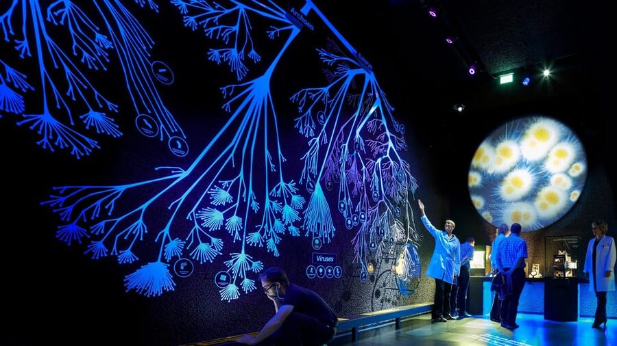 Amsterdam: Artis Royal Zoo & ARTIS-Micropia Combo Ticket - Madagascar at Kerbertterras, Then Otters and Pandas