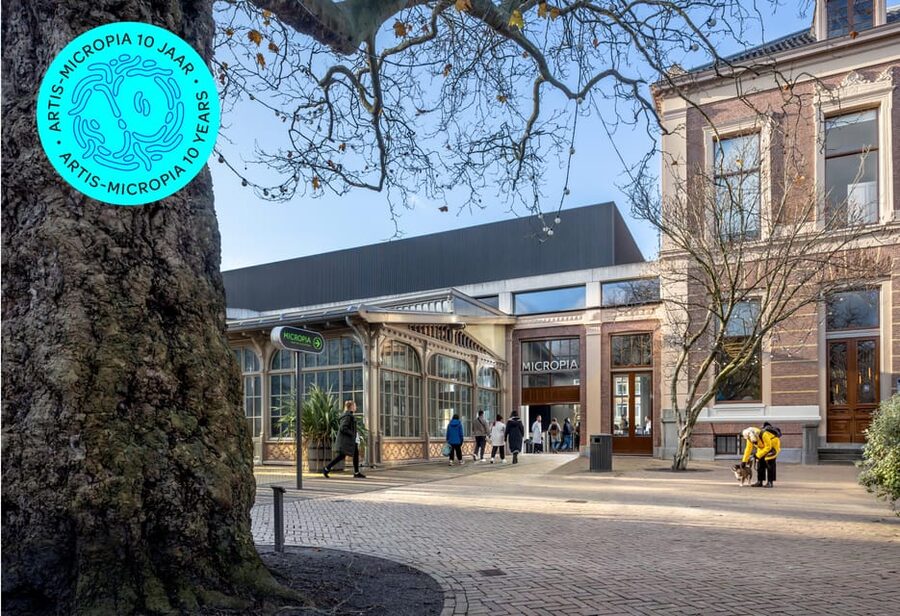 Amsterdam: Artis Royal Zoo & ARTIS-Micropia Combo Ticket - Planetarium Included: Space Between Zoo Walks