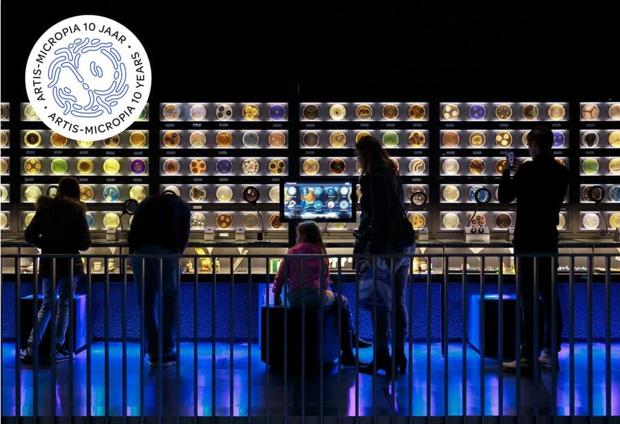 Amsterdam: Artis Royal Zoo & ARTIS-Micropia Combo Ticket - Price and Value of This Combo Ticket