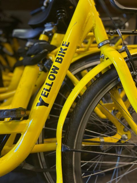Amsterdam Bike Rental: Central Station & City Center - A One-Day Plan From the City Center That Feels Like Amsterdam