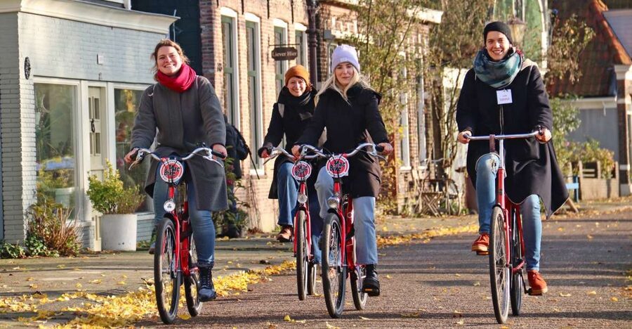 Amsterdam: Bike Tour (Noord) in German or English - Guides, language choice, and how the ride stays comfortable