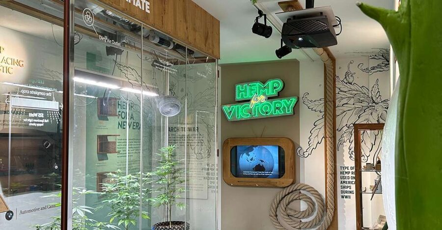 Amsterdam: Cannabis Museum Entry Ticket - A Classroom Feel, With Actual Science Props