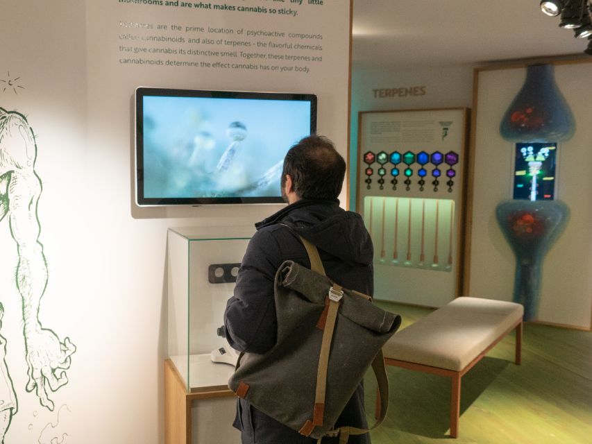 Amsterdam: Cannabis Museum Entry Ticket - The Indoor Ecosystem: Live Plants, Microscope, and Testing Machine