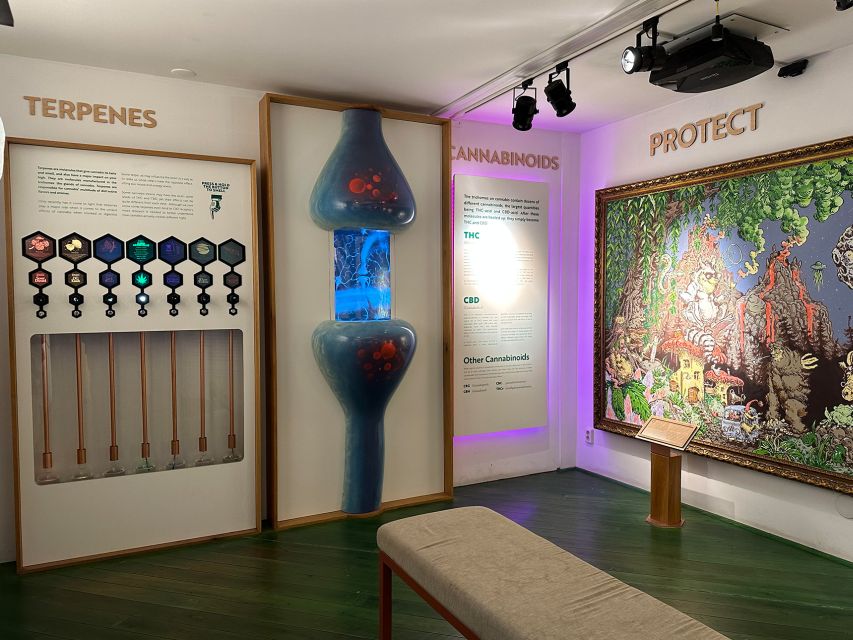 Amsterdam: Cannabis Museum Entry Ticket - When to Go: Closing Time and How to Plan Your Evening