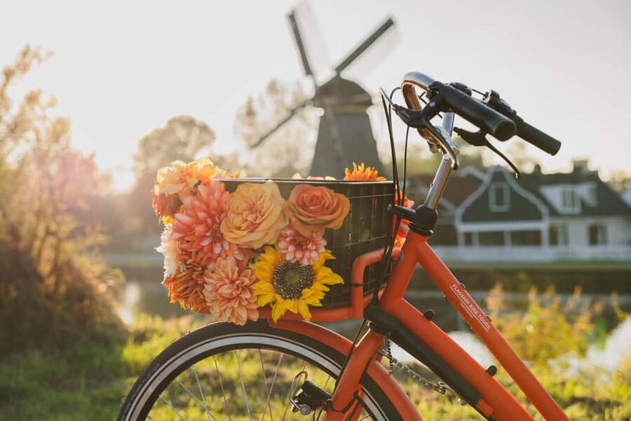 Amsterdam: Cheese Tasting, Windmill & Countryside Bike Tour - Price and Value: What $46 Buys You in Real Stuff