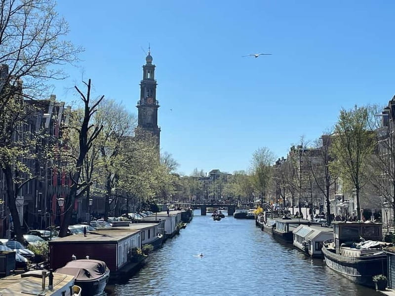 Amsterdam: City Tour in German - Who should book this German Amsterdam City Tour