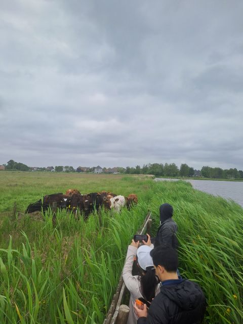 Amsterdam: Countryside Bike and Kayak Guided Tour - Key takeaways before you go