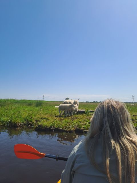 Amsterdam: Countryside Bike and Kayak Guided Tour - Meeting at A’DAM Lookout, then the free ferry hop