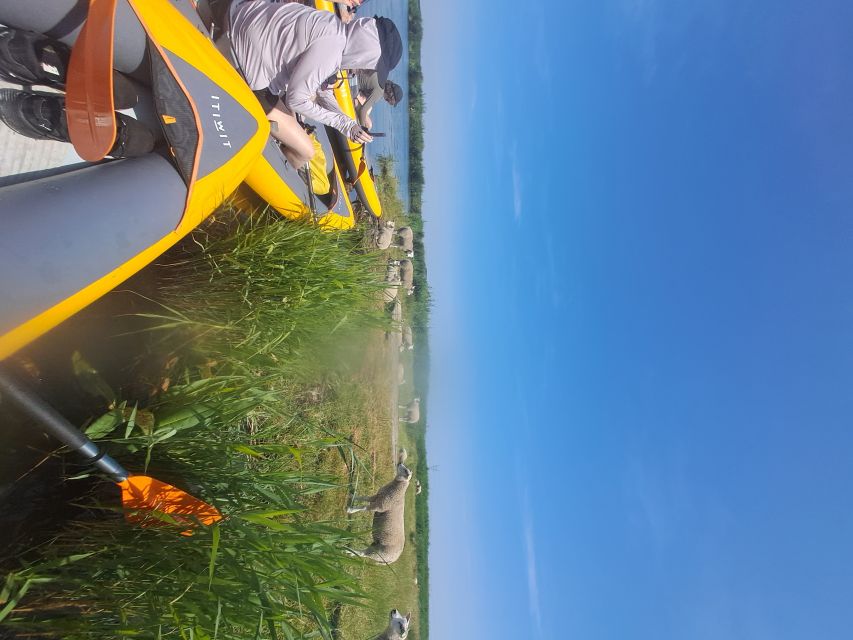 Amsterdam: Countryside Bike and Kayak Guided Tour - Stop one: d’Admiraal Windmill and why this specific one matters