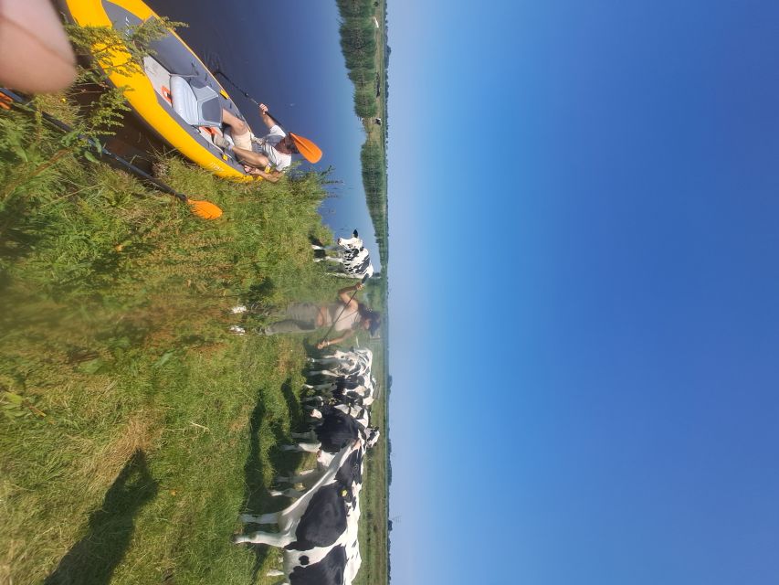 Amsterdam: Countryside Bike and Kayak Guided Tour - The mid-tour break: church lunch and small moments worth slowing for