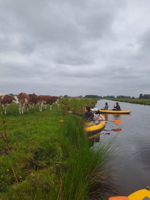 Amsterdam: Countryside Bike and Kayak Guided Tour - Price and what you actually get for $84