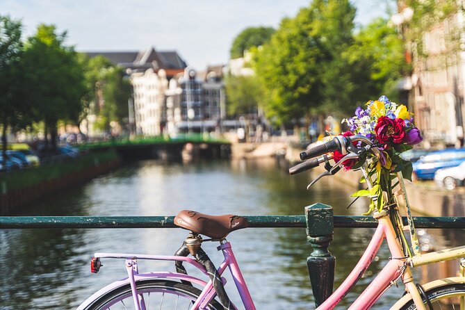 Amsterdam: Countryside Bike Tour - Why North Holland on a bike feels like a reset from Amsterdam