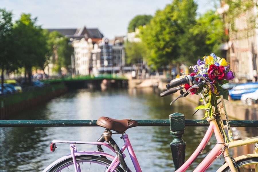 Amsterdam: Countryside Bike Tour - The polder story: what the guide teaches about water and flood control