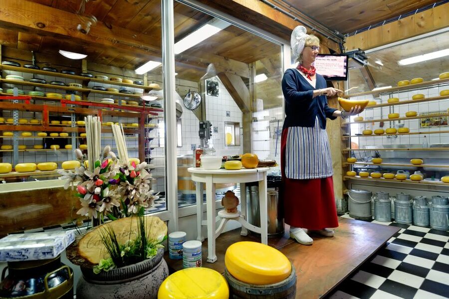 Amsterdam: Day Tour Keukenhof and Zaanse Schans Windmills - Key things I’d plan around