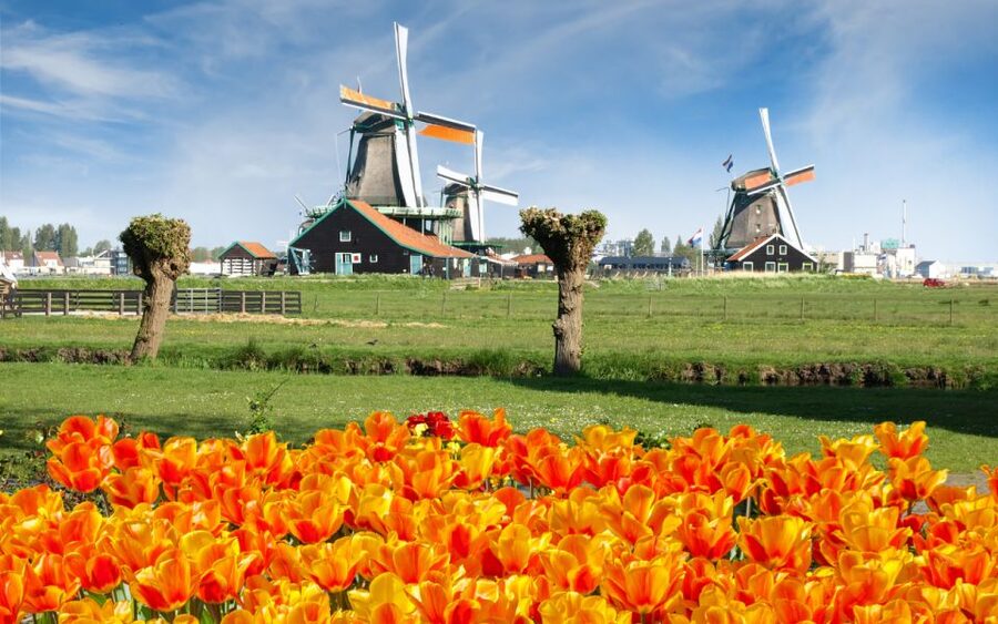Amsterdam: Day Tour Keukenhof and Zaanse Schans Windmills - Getting back to Amsterdam by bus every 30 minutes