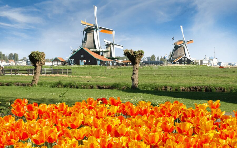 Amsterdam: Day Tour Keukenhof and Zaanse Schans Windmills - Zaanse Schans first, where windmills become a walkable village