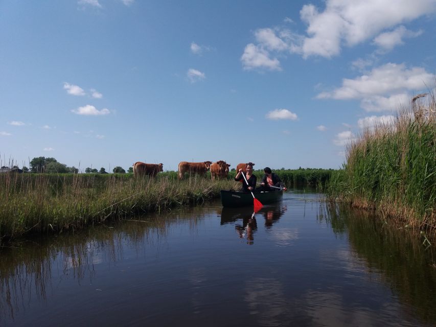 Amsterdam: Dutch Countryside Sunset Canoe Tour - The Picnic Stop by the Lake, Plus the Optional Swim