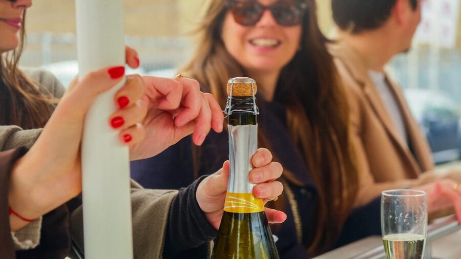 Amsterdam: Dutch Prosecco Party Bike - The Sloterdijk ride: 65 minutes of cycling, music, and safe guidance