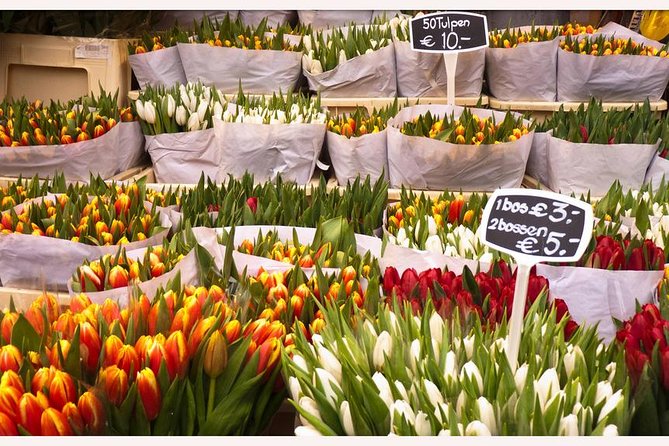 Amsterdam: E-Bike Sightseeing Tour - Bloemenmarkt and Museumplein: the best photo stops in a single push