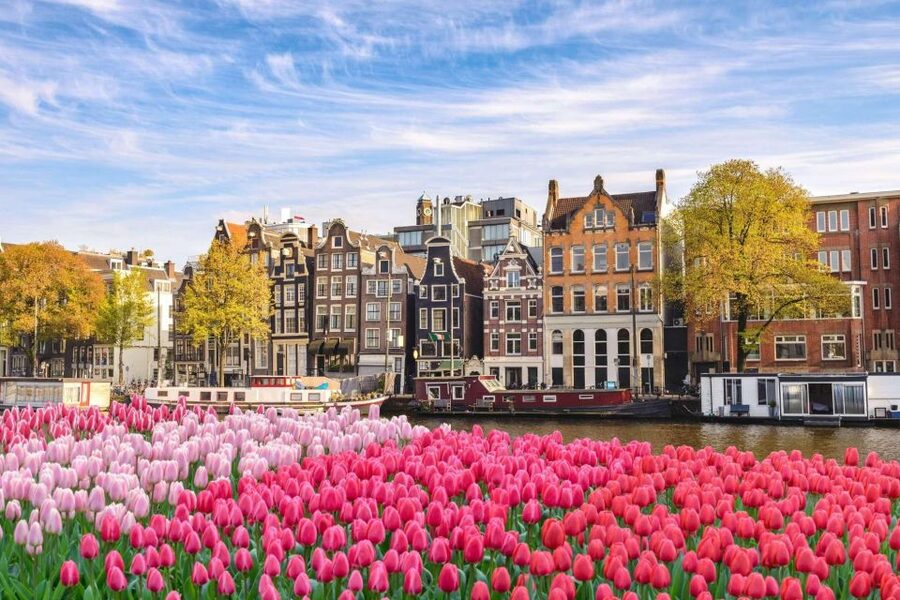 Amsterdam Family Friendly Historical Walking Tour - Should You Book This Amsterdam Family-Friendly Historical Walking Tour?