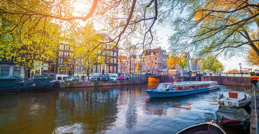 Amsterdam Family Friendly Historical Walking Tour - Meeting at Singel 399, and Using a Real Licensed Guide