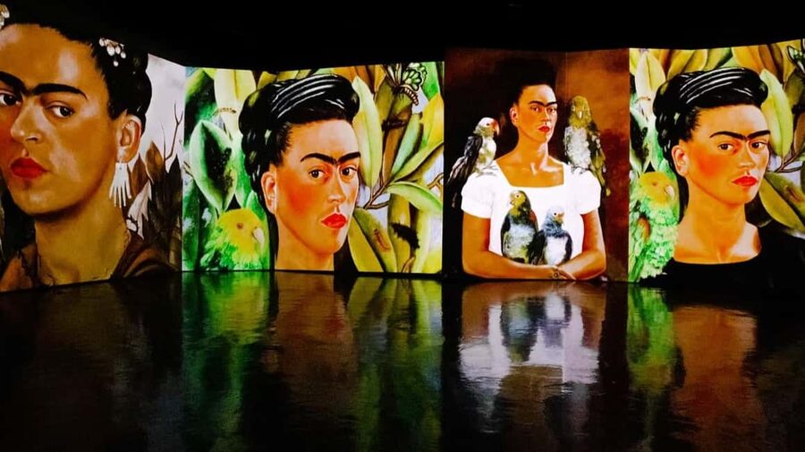 Amsterdam: Frida Kahlo Immersive & Photo Exhibition - Key things to know before you go