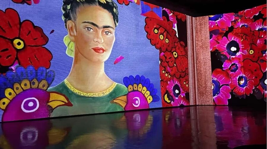 Amsterdam: Frida Kahlo Immersive & Photo Exhibition - Diary excerpts and rare photos: what to focus on once you’re inside