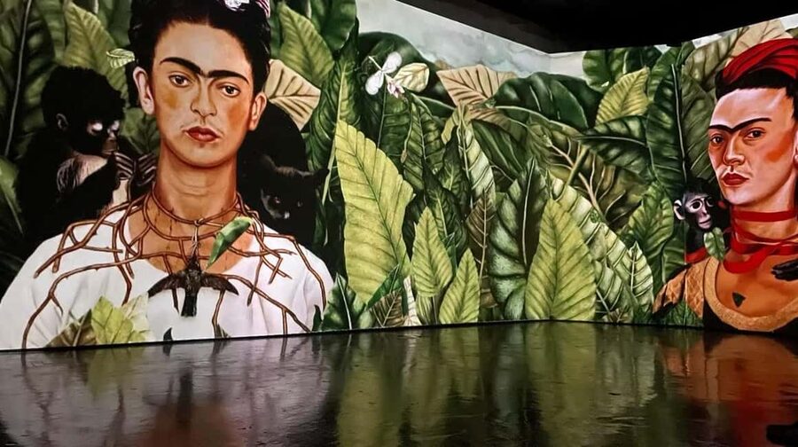 Amsterdam: Frida Kahlo Immersive & Photo Exhibition - The projection show and soundscapes: how Frida’s life becomes a full-body story