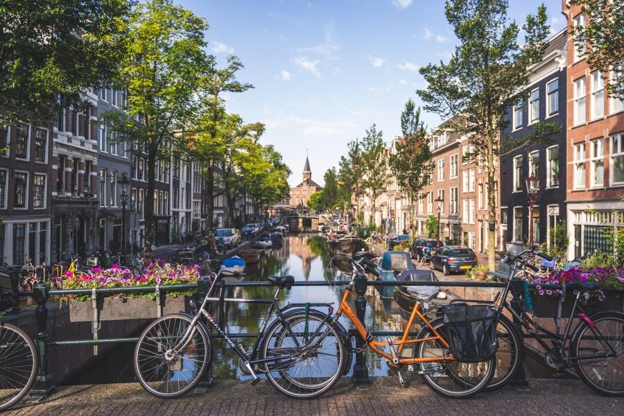 Amsterdam full day tour: Walking, Biking & Cruising - Who Should Book This Tour (and Who Should Skip It)