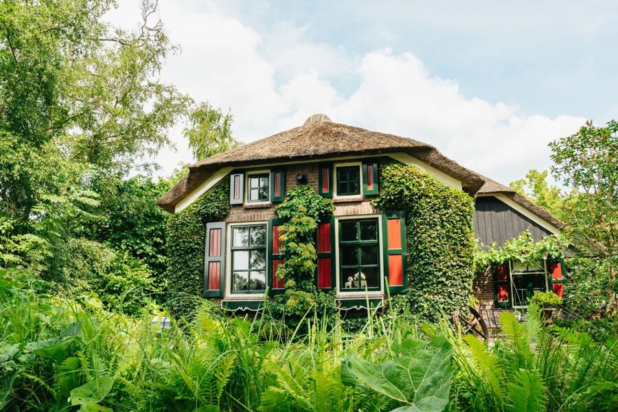 Amsterdam: Giethoorn, Zaandam & Zaanse Schans Tour w/ Pickup - The Wooden Shoe Workshop and Catharina Hoeve Cheese Farm: What to Look For