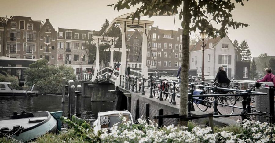 Amsterdam: Guided City Bike Tour in French - Meeting at IJdok 47, then rolling into the center