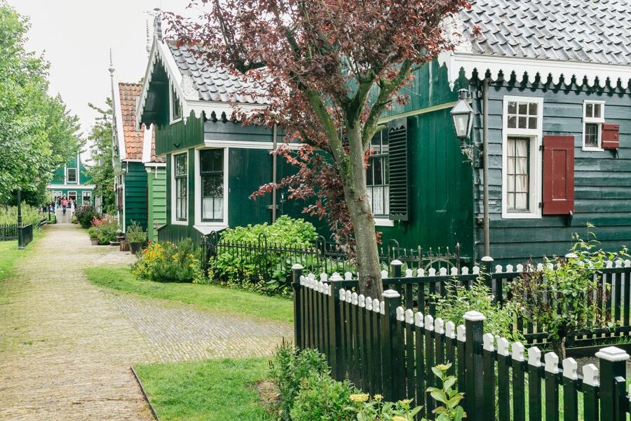 Amsterdam: Guided Zaanse Schans, Windmills & Cheese Tour - Price and value: why about $22 can make sense