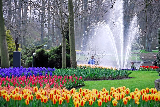 Amsterdam: Half Day Guided Keukenhof Tulip Garden Tour - Getting there from Amsterdam: Stationsplein 4 and a comfortable ride to Lisse