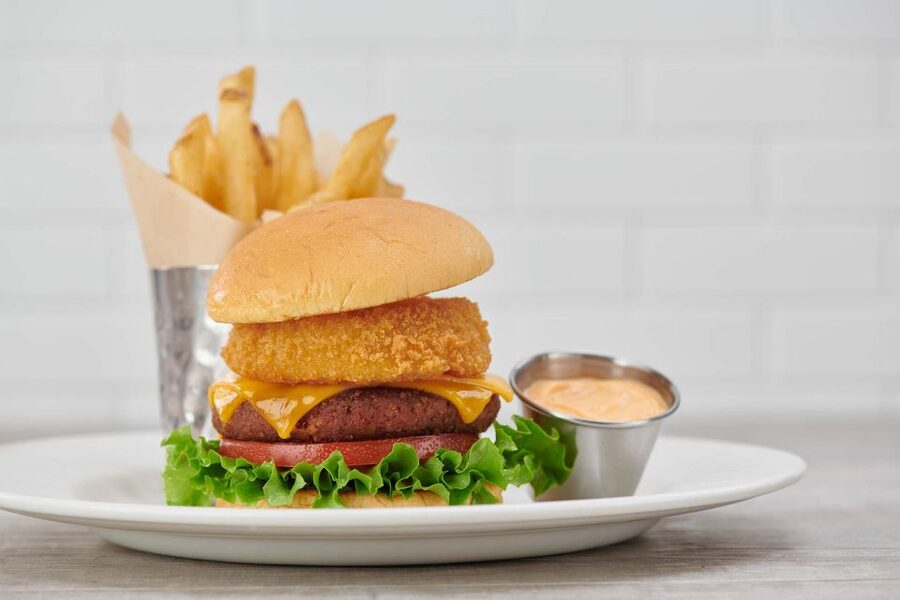Amsterdam: Hard Rock Cafe Experience - Price and Value: Is $36 a Good Deal?