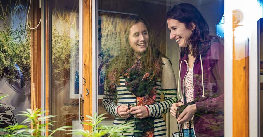 Amsterdam: Hash, Marihuana, and Hemp Museum Entry Ticket - Why this Amsterdam cannabis museum makes sense as a stop