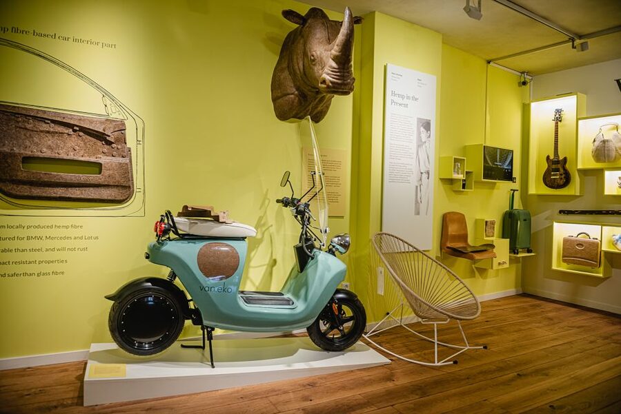 Amsterdam: Hash, Marihuana, and Hemp Museum Entry Ticket - The cannabis garden with live plants: your visual reset